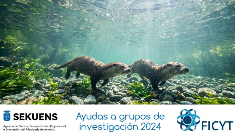 Imagen: Cómo leer la salud de un ecosistema a través de sus especies
